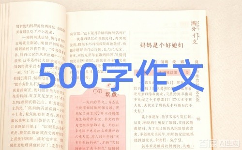 父亲的修理箱 500字作文
