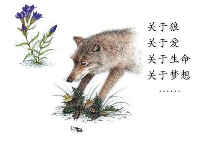 《狼王梦》小学生读后感400字范文