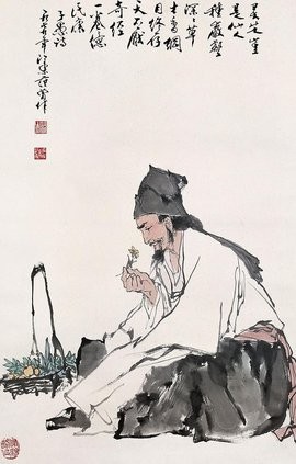 李时珍：踏遍山野的东方医学巨人