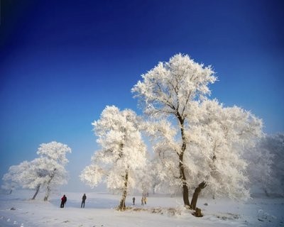 t04880ea347d6fb264a.jpg